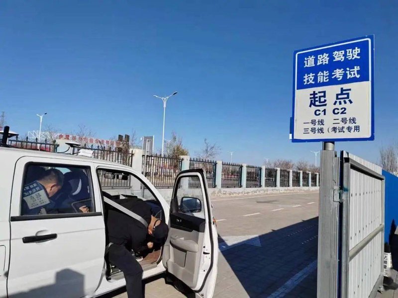 驾校情缘：老树开新花
